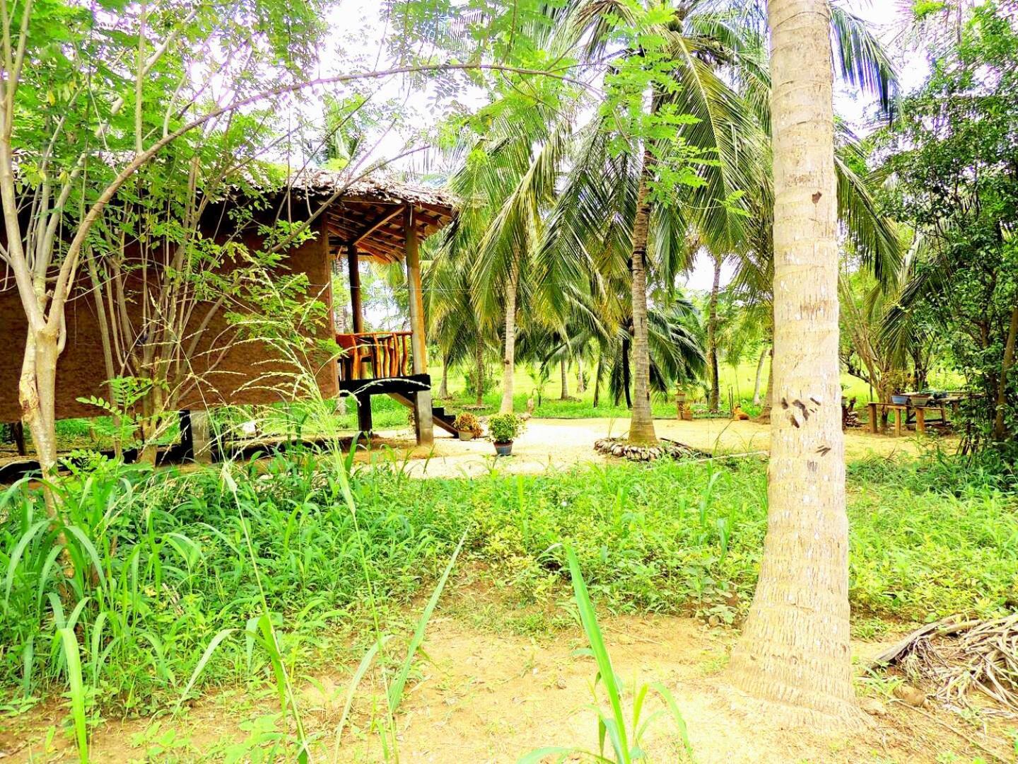 Milk House Cottage Udawalawe Kültér fotó