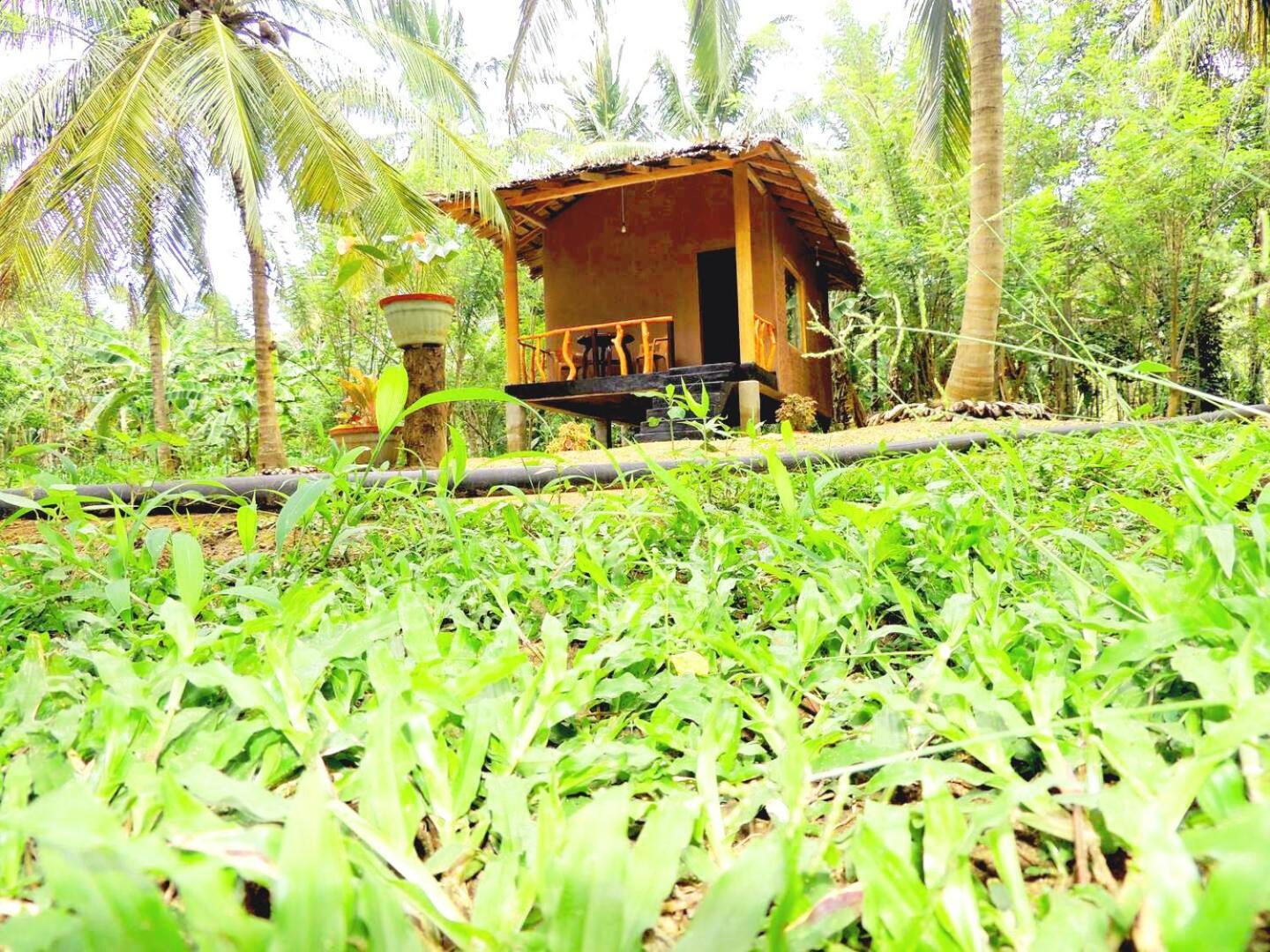 Milk House Cottage Udawalawe Kültér fotó